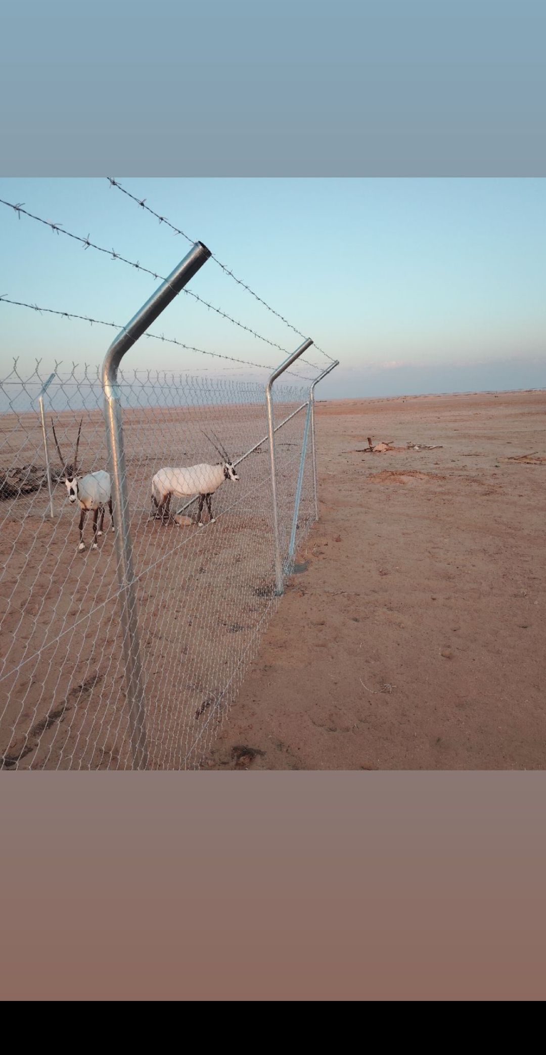 شبوك ملاعب شبوك زراعية شبوك