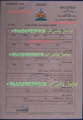 IMG-20241202-WA0023
