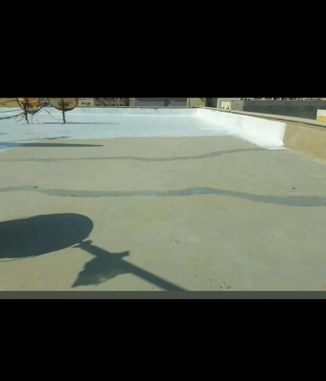 الدما الشرقية