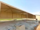 الرياض