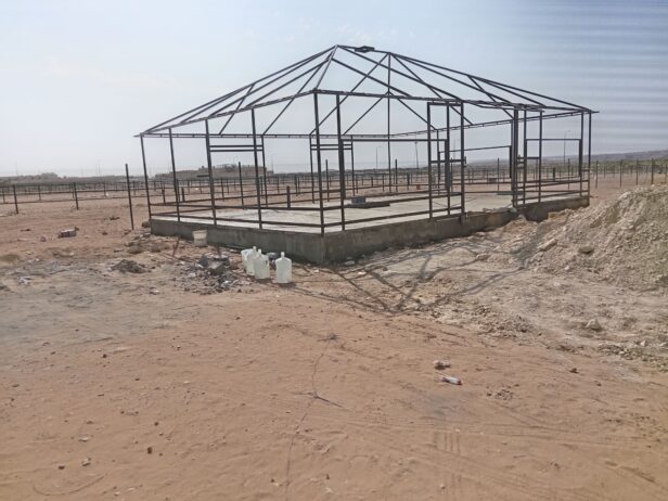 الرياض
