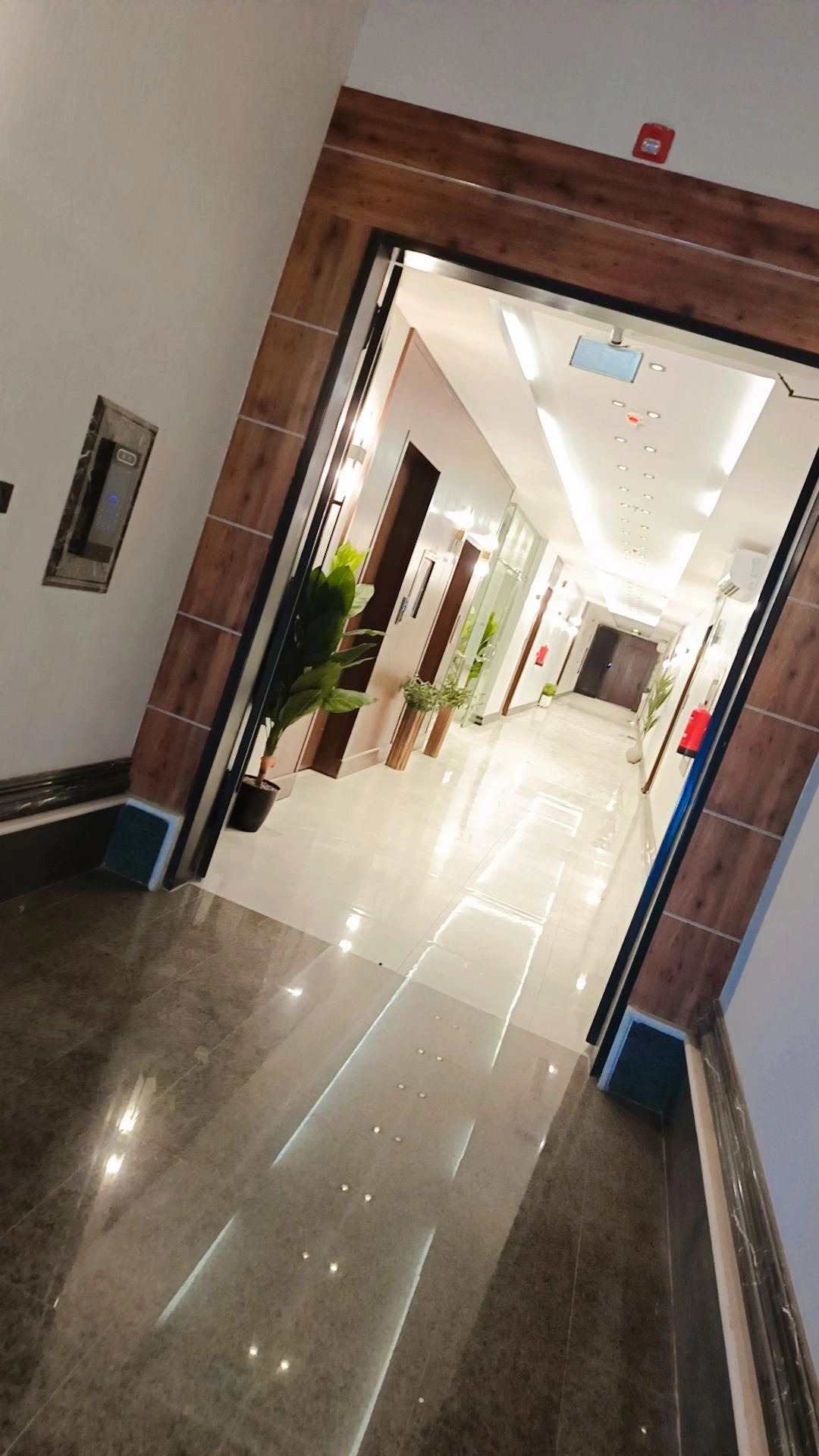 الرياض حي القادسيه