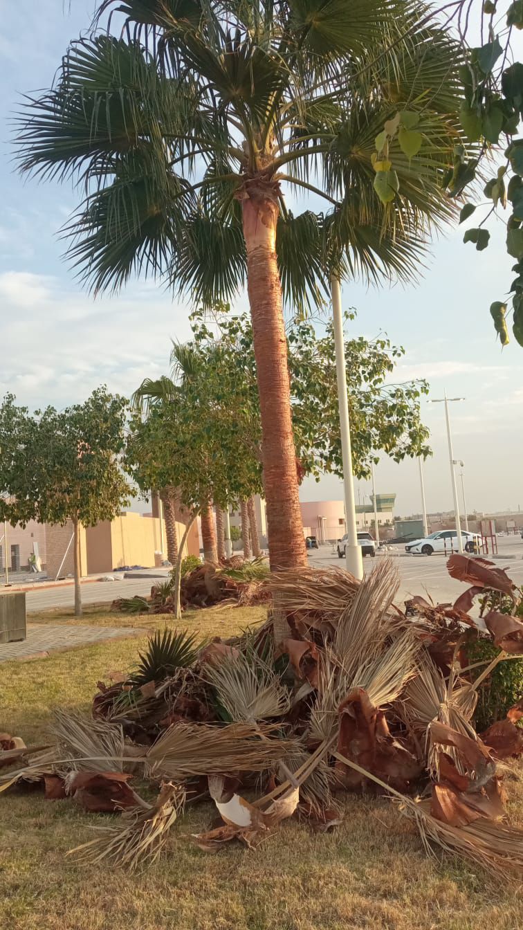 نقوم بجميع أشغال انخل