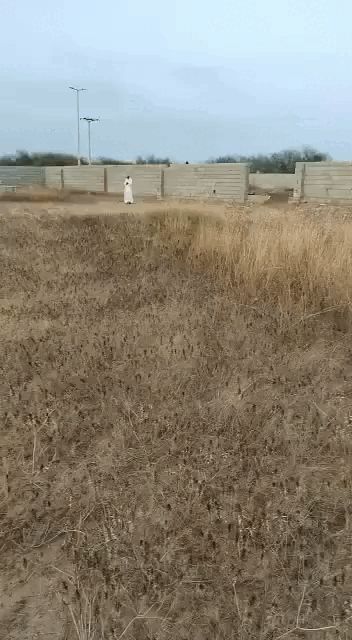 احد المسارحه