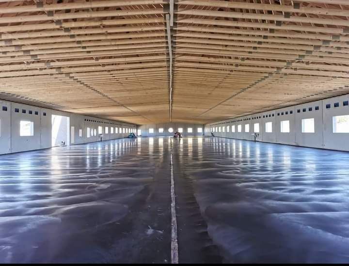 شتغل أرضيات خراسانة ديكور الختام مطبوعة .ملونة شكل