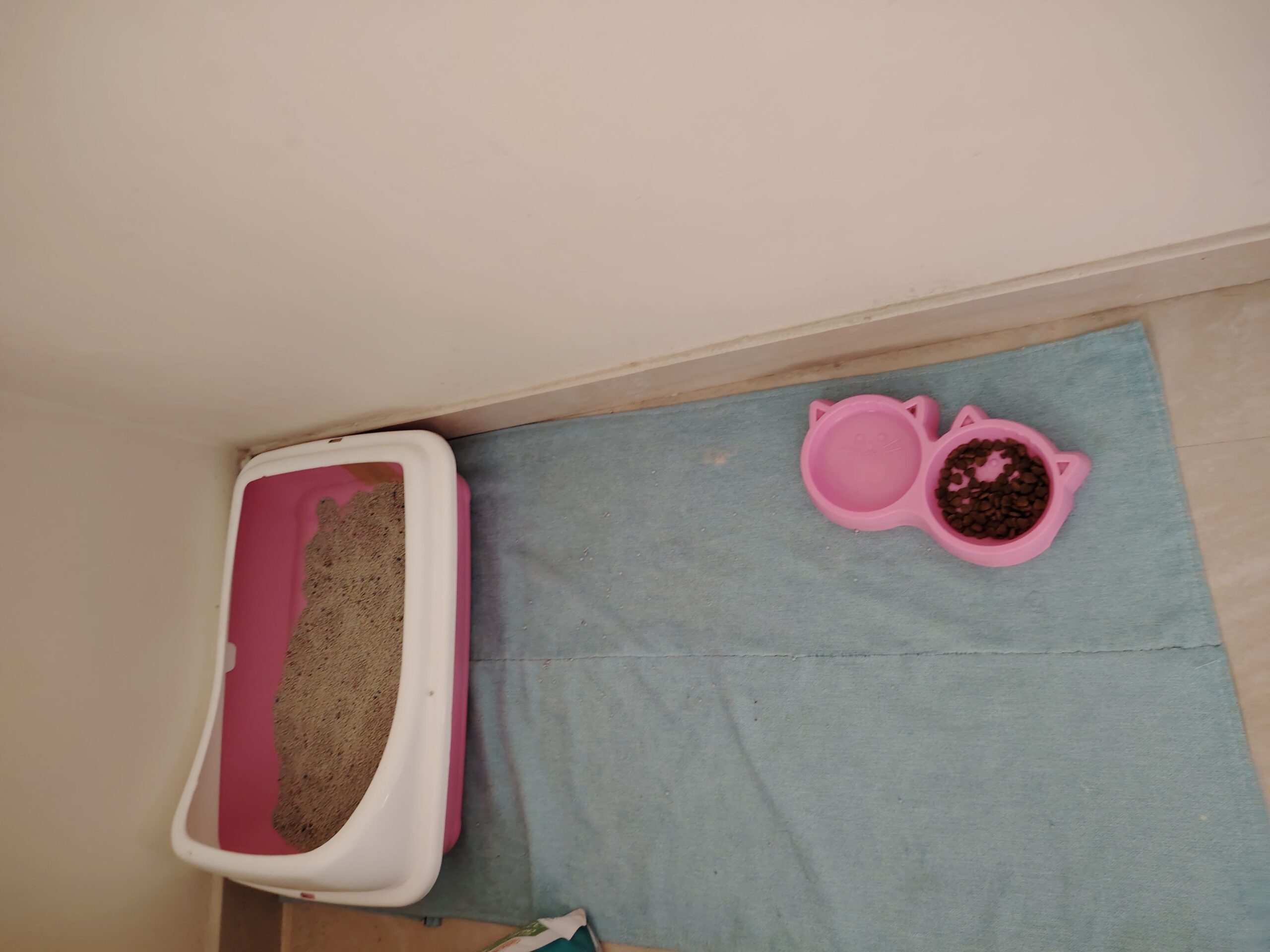 الدمام حي الزهور بجوار مدرسة الدمام الاهلية