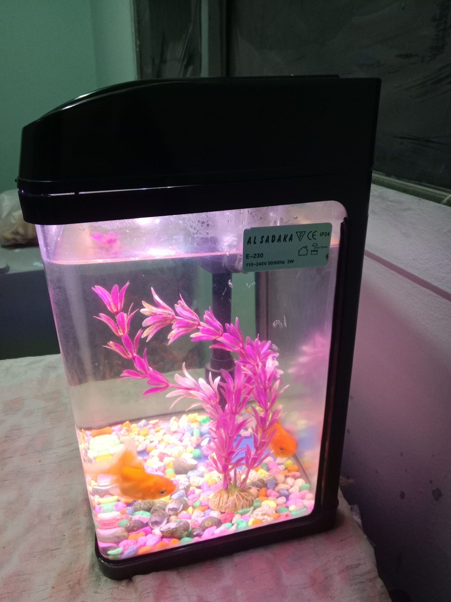 حي ابن خلدون