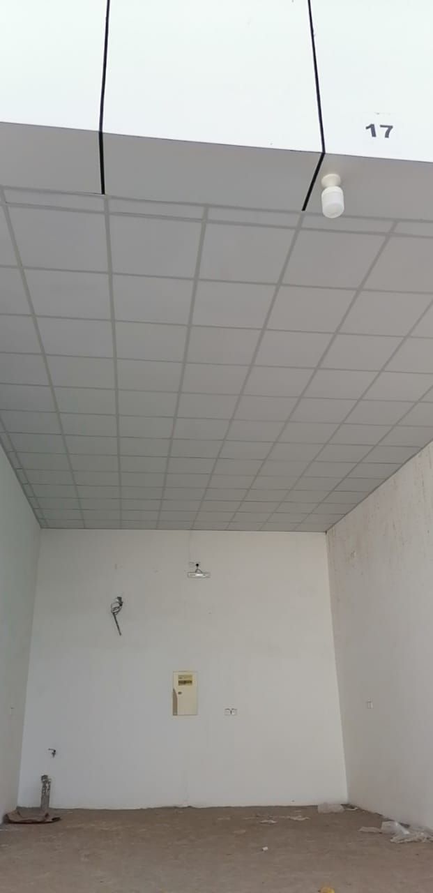 المدينه المنوره