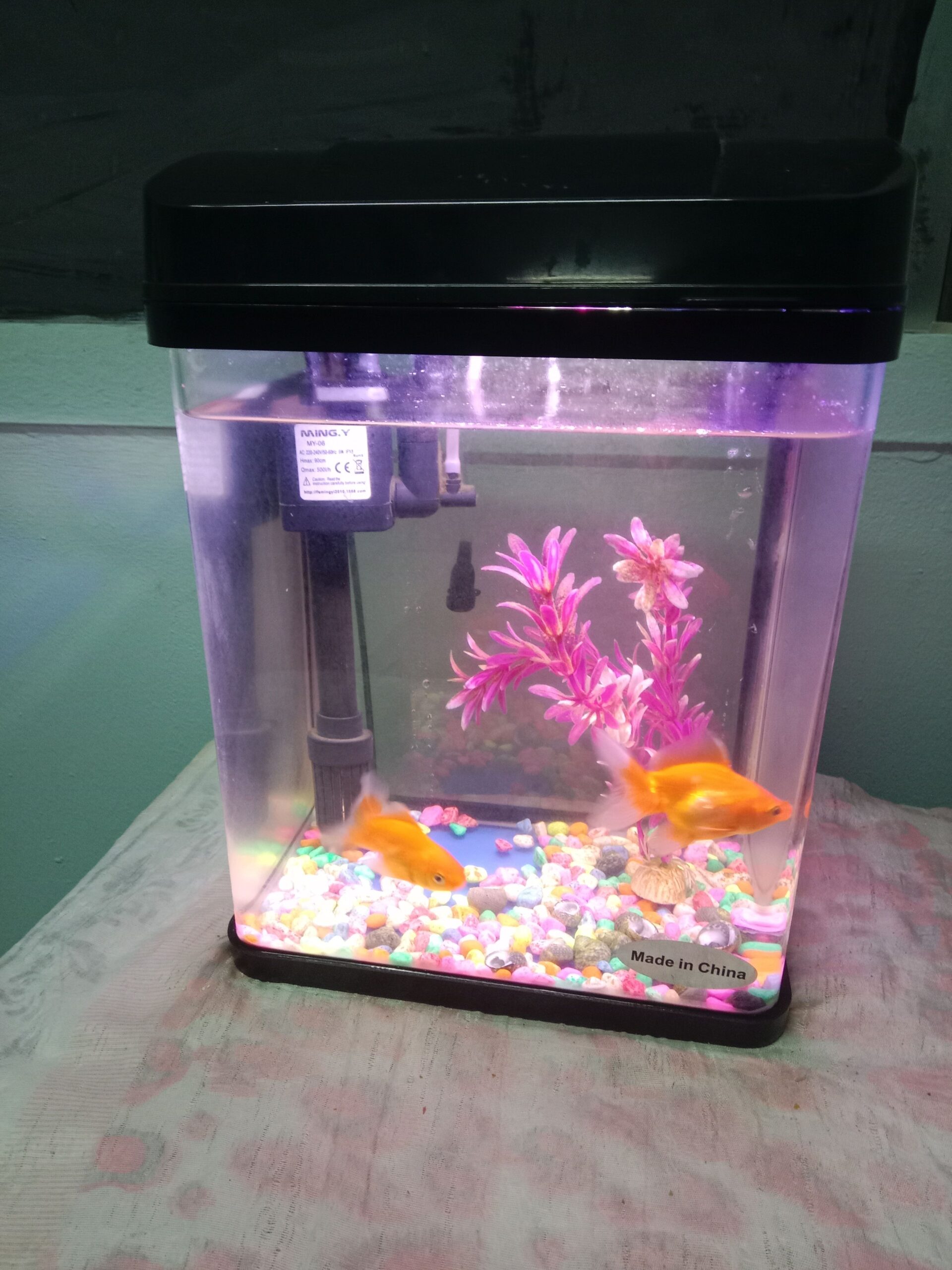 حي ابن خلدون