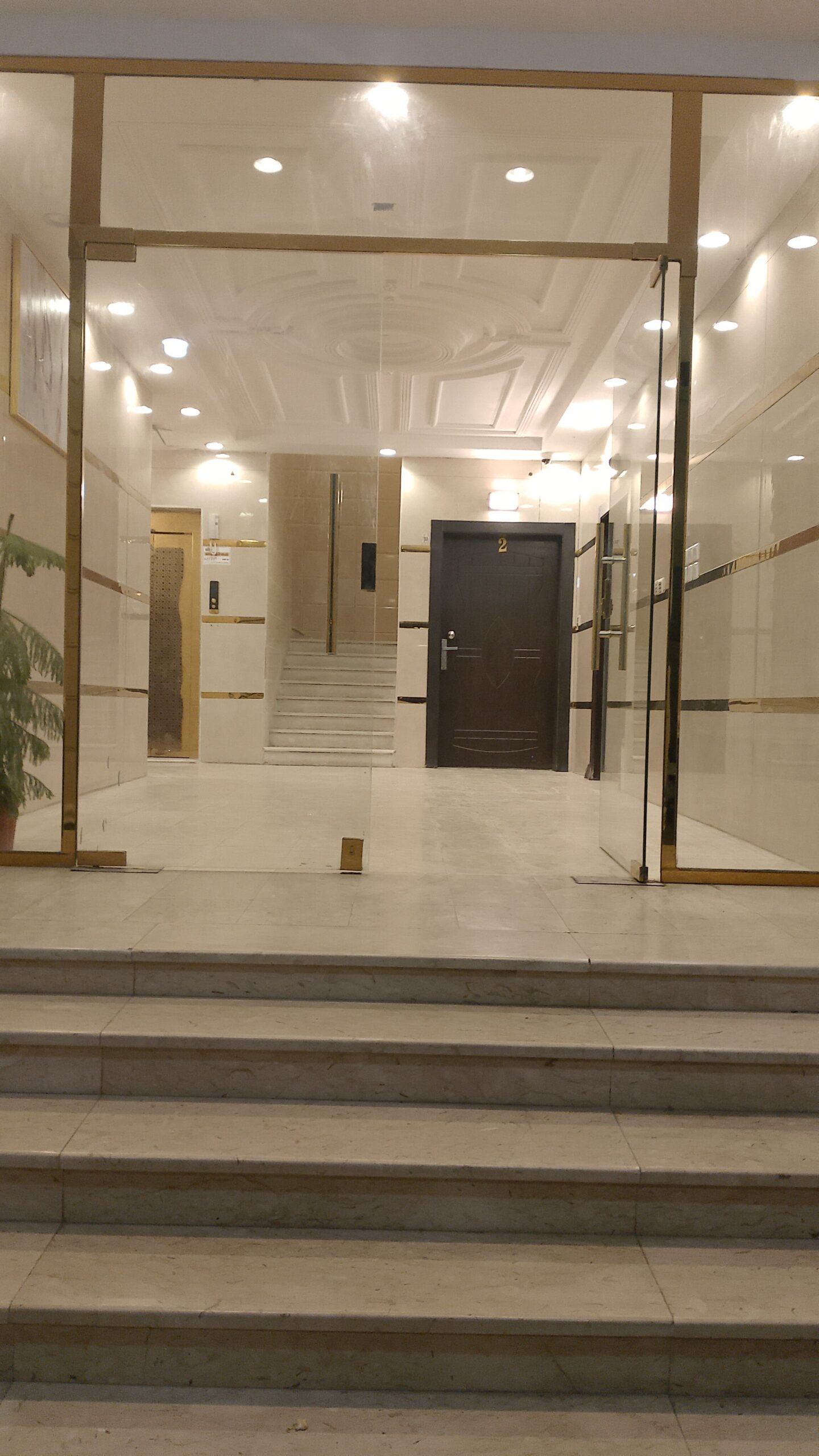 العريض حي الربوة