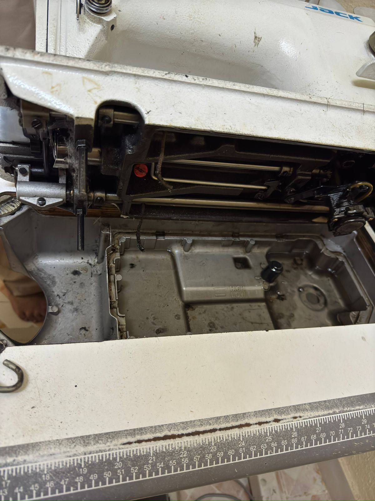 المدينة امنوره