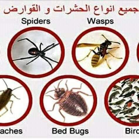 شركة تنظيف شقق والفلل نظافة خزانات عزل خزانات رش م