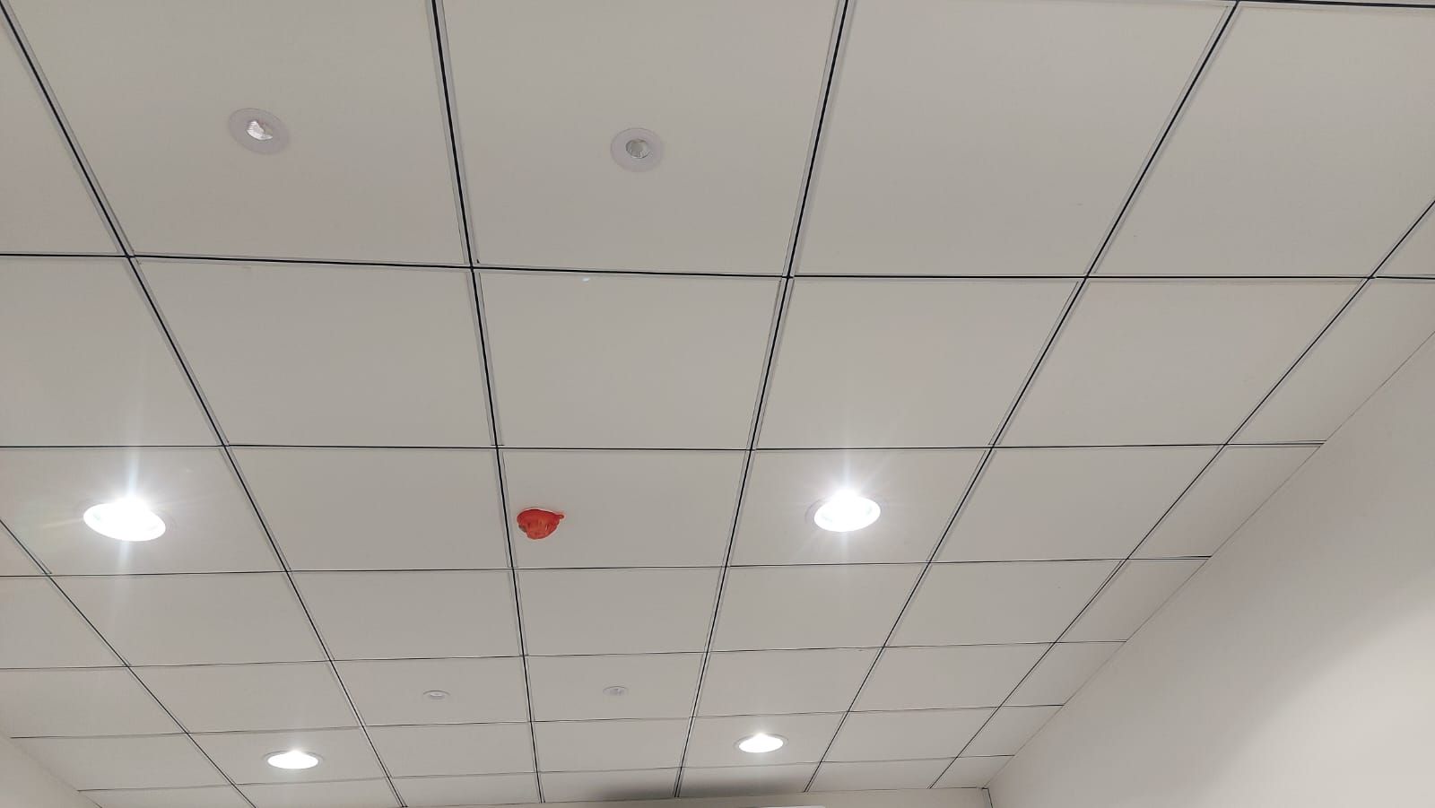 المدينه المنوره