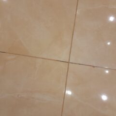 51b09e9b-a9a8-44f3-aff6-1f566781fd8a