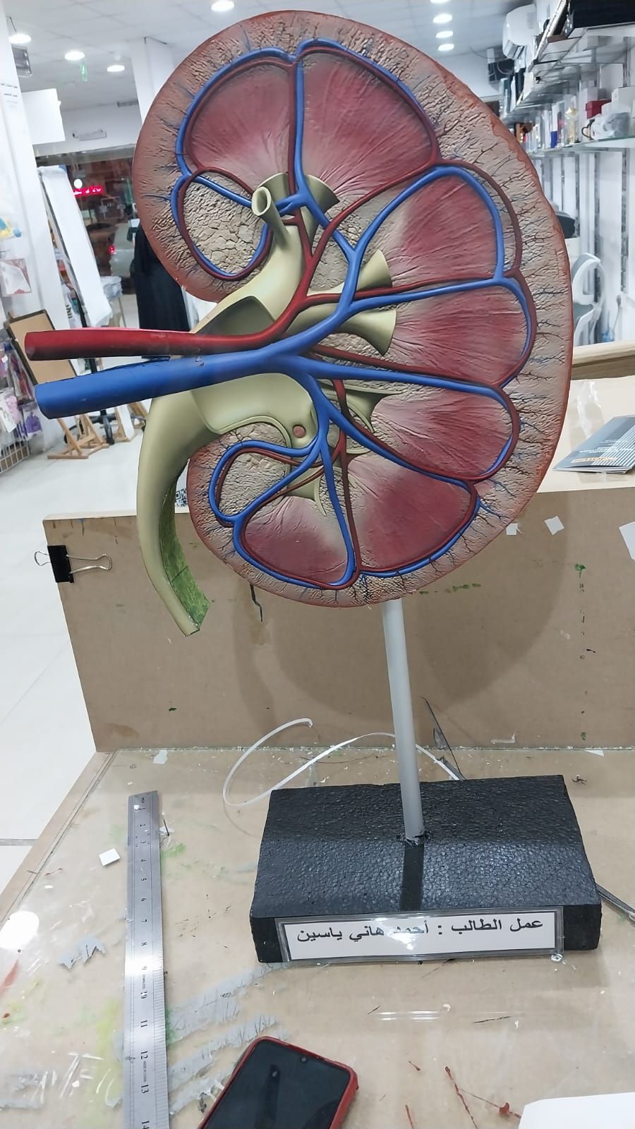 مجسمات ومشاريع مدرسية وجامعية