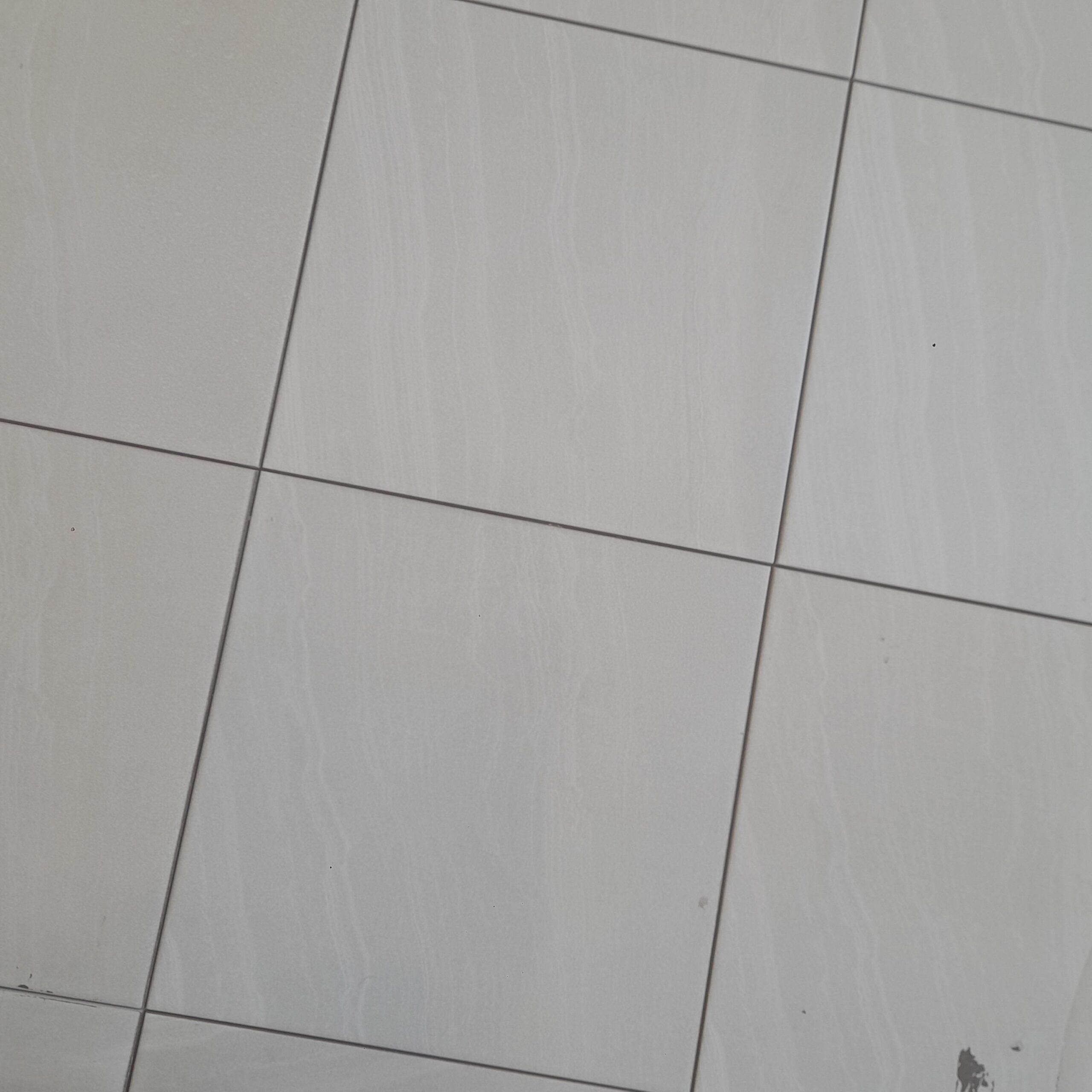 جده حي اسامر