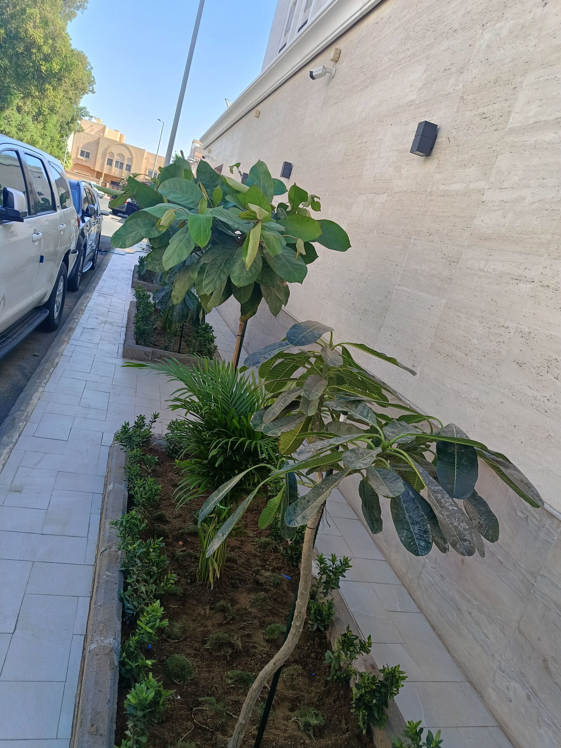 تصميم وتنسيق الحدائق