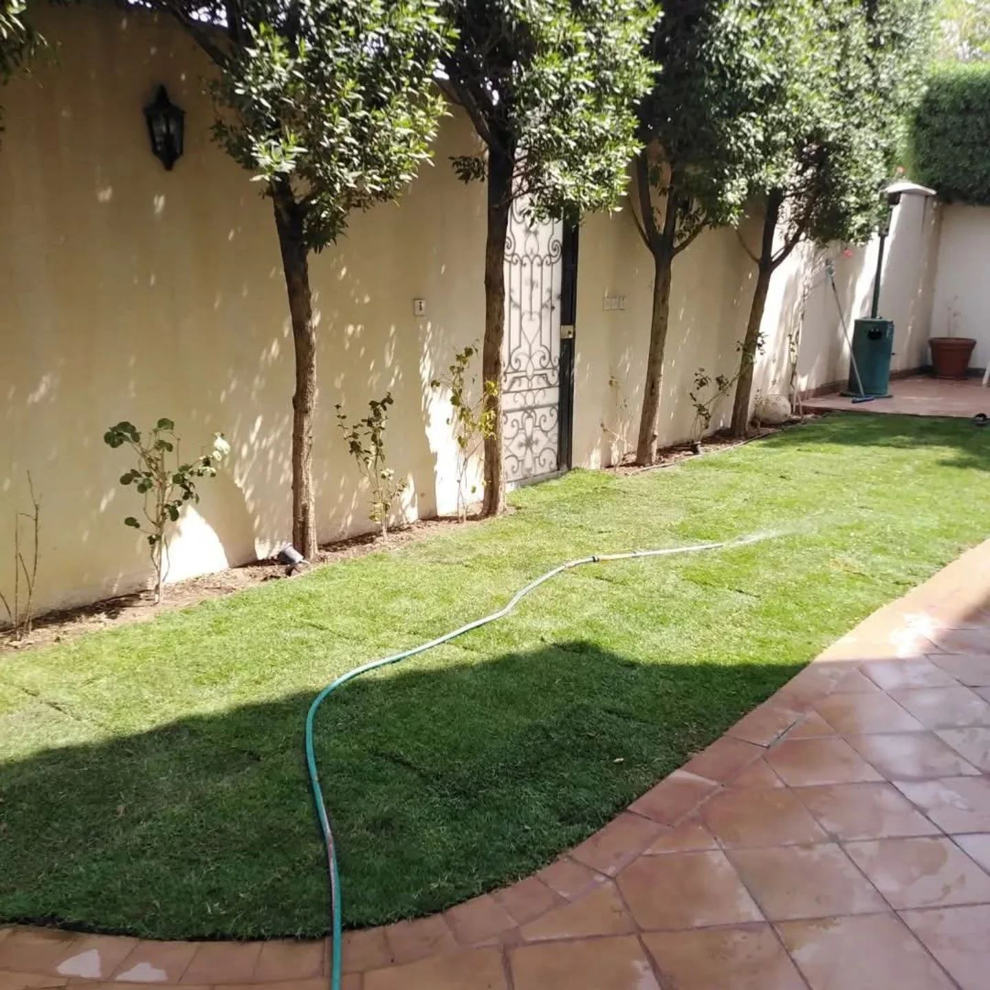 تصميم وتنسيق الحدائق