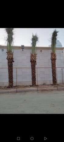 جده ومكه
