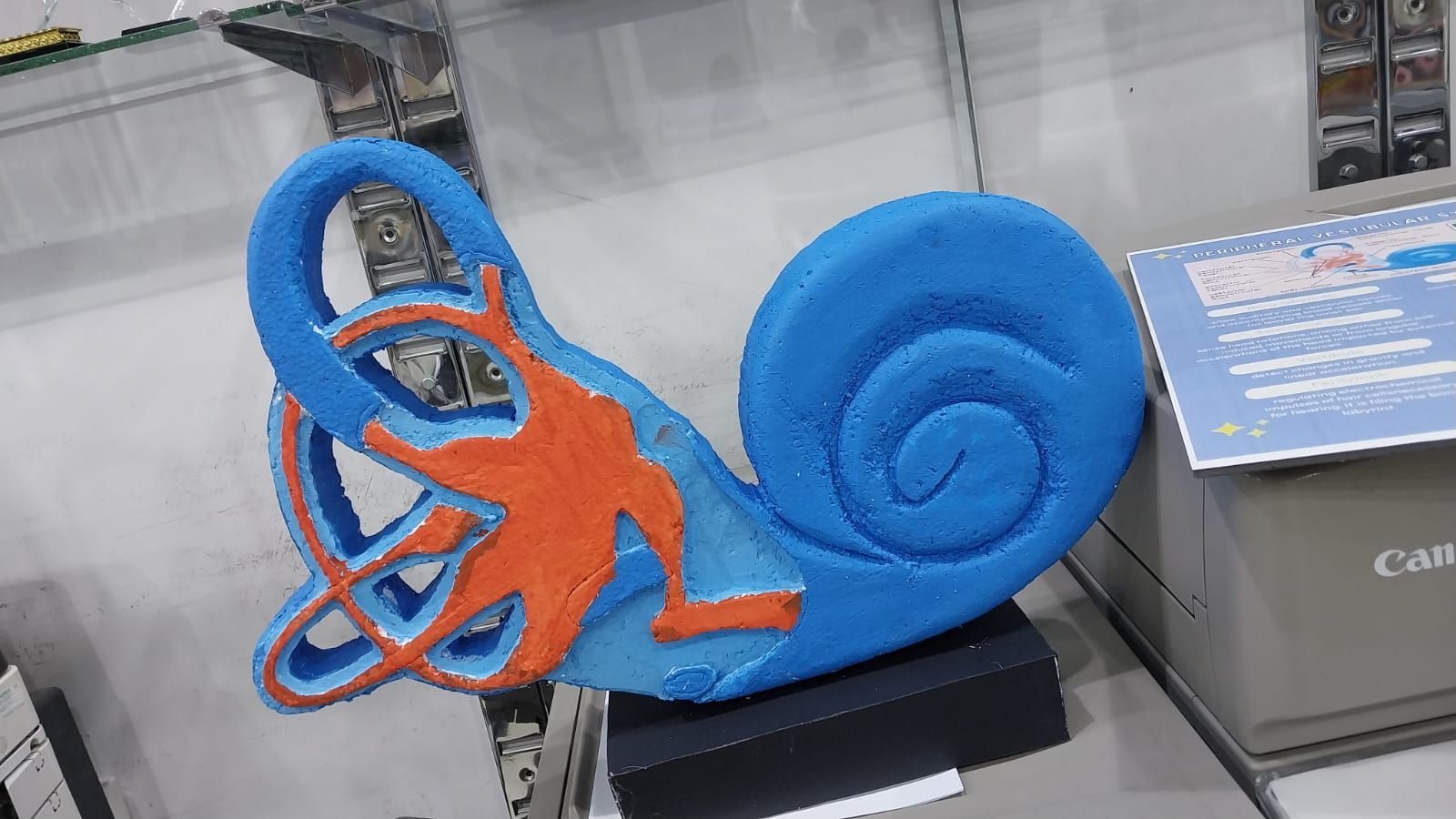 مجسمات ومشاريع مدرسية وجامعية