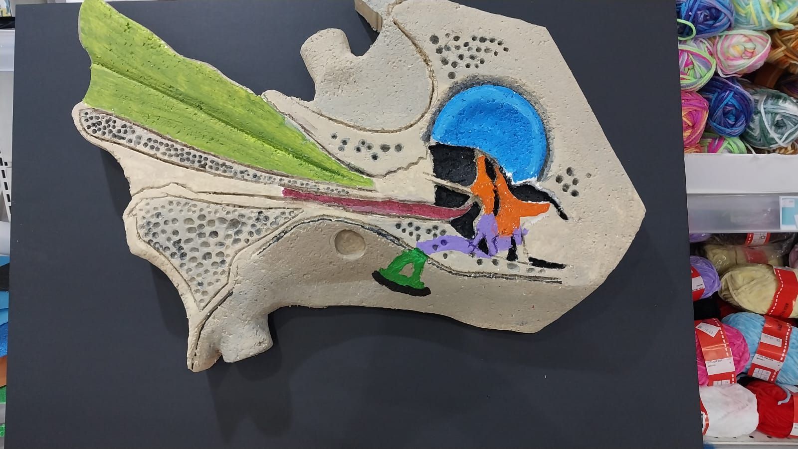 مجسمات ومشاريع مدرسية وجامعية