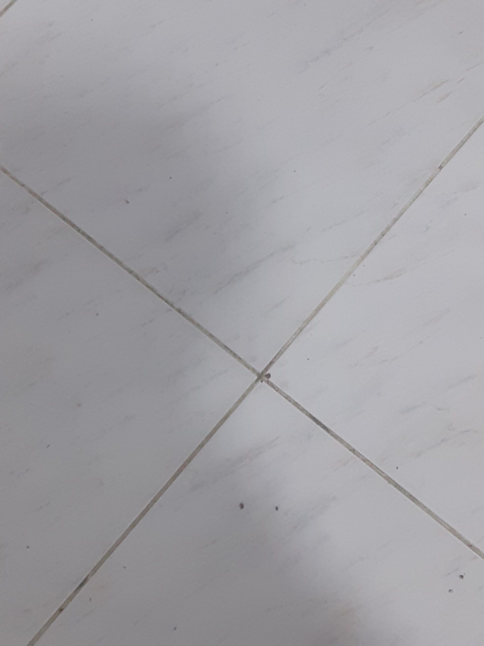 جده حي اسامر