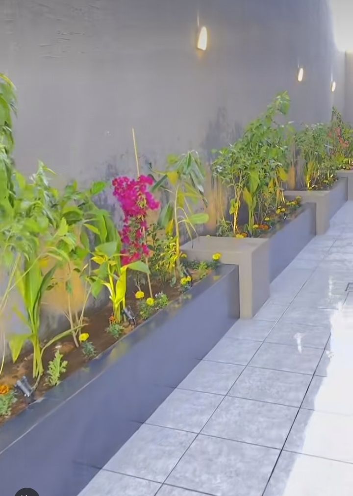 تنسيق حدائق وشلالات ونوافير