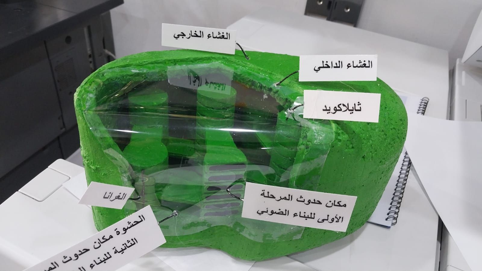 مجسمات ومشاريع مدرسية وجامعية