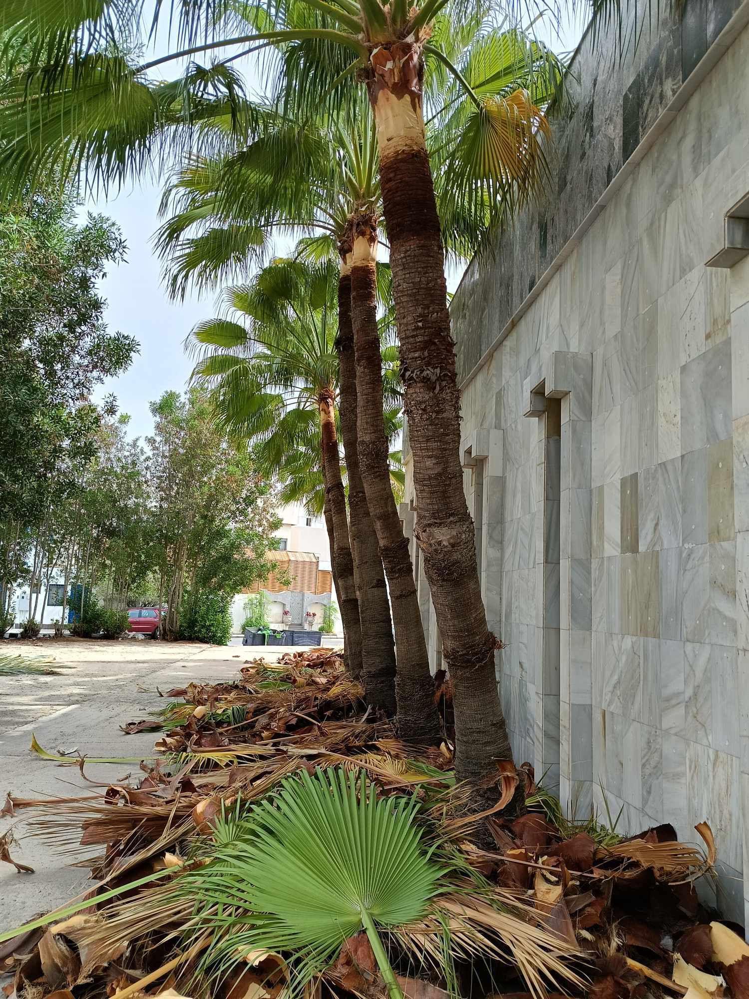 تصميم وتنسيق الحدائق