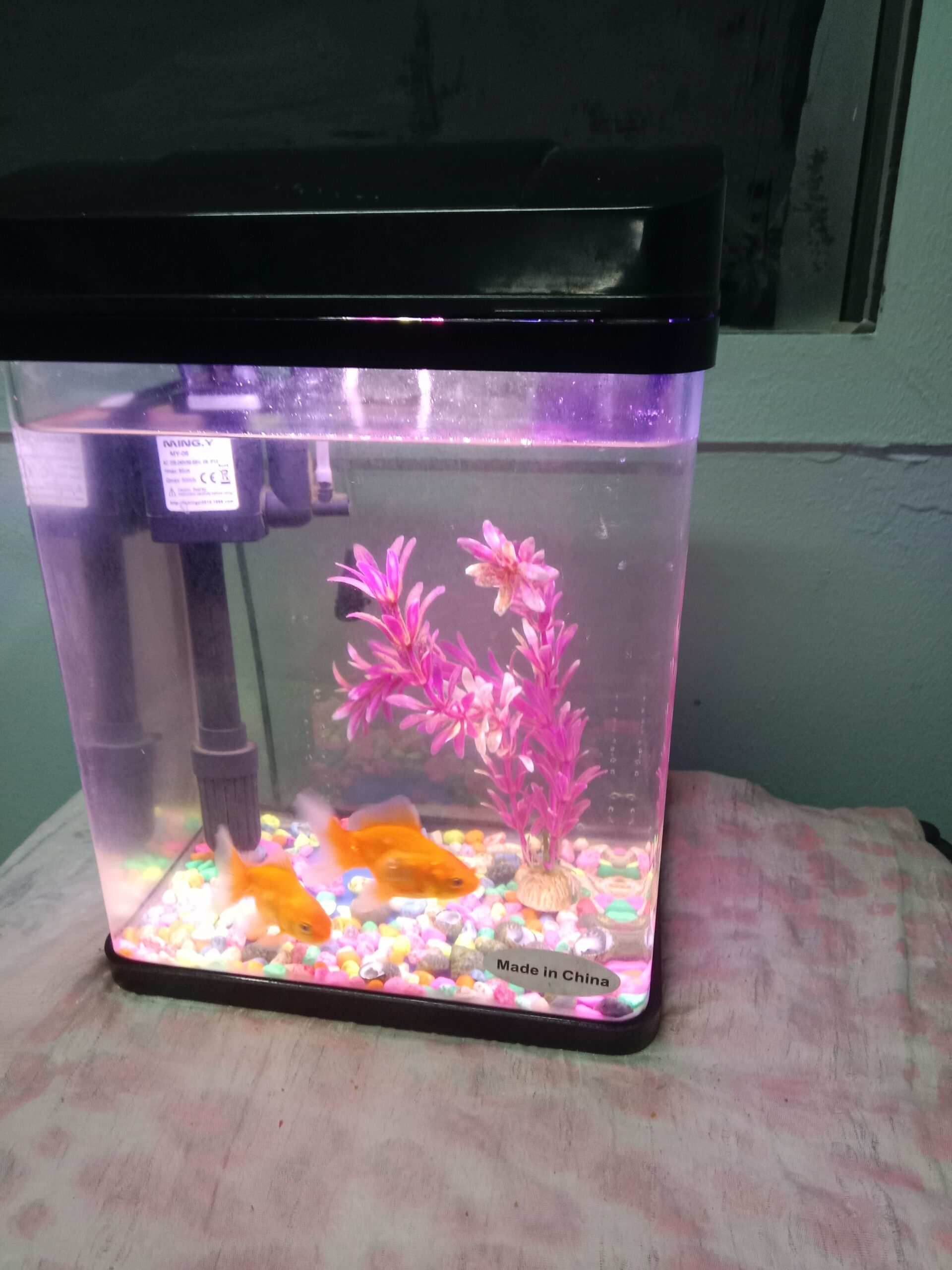 حي ابن خلدون