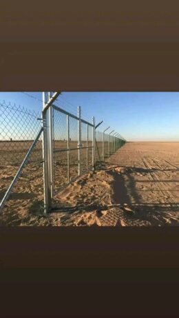 مقالات عامه شبوك بجميع انواعها ونخيل