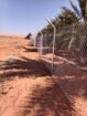 الرياض