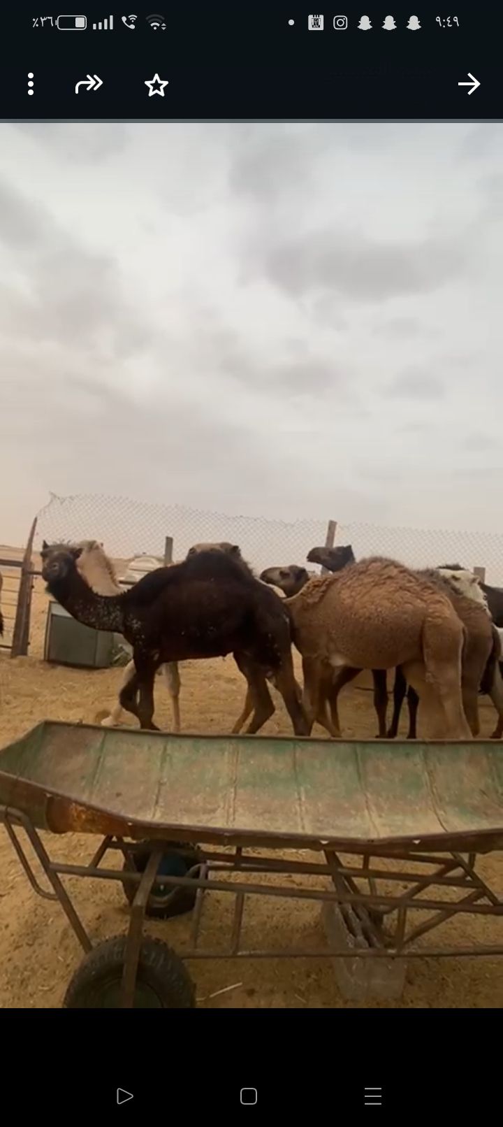 الخرج طريق القاعدة