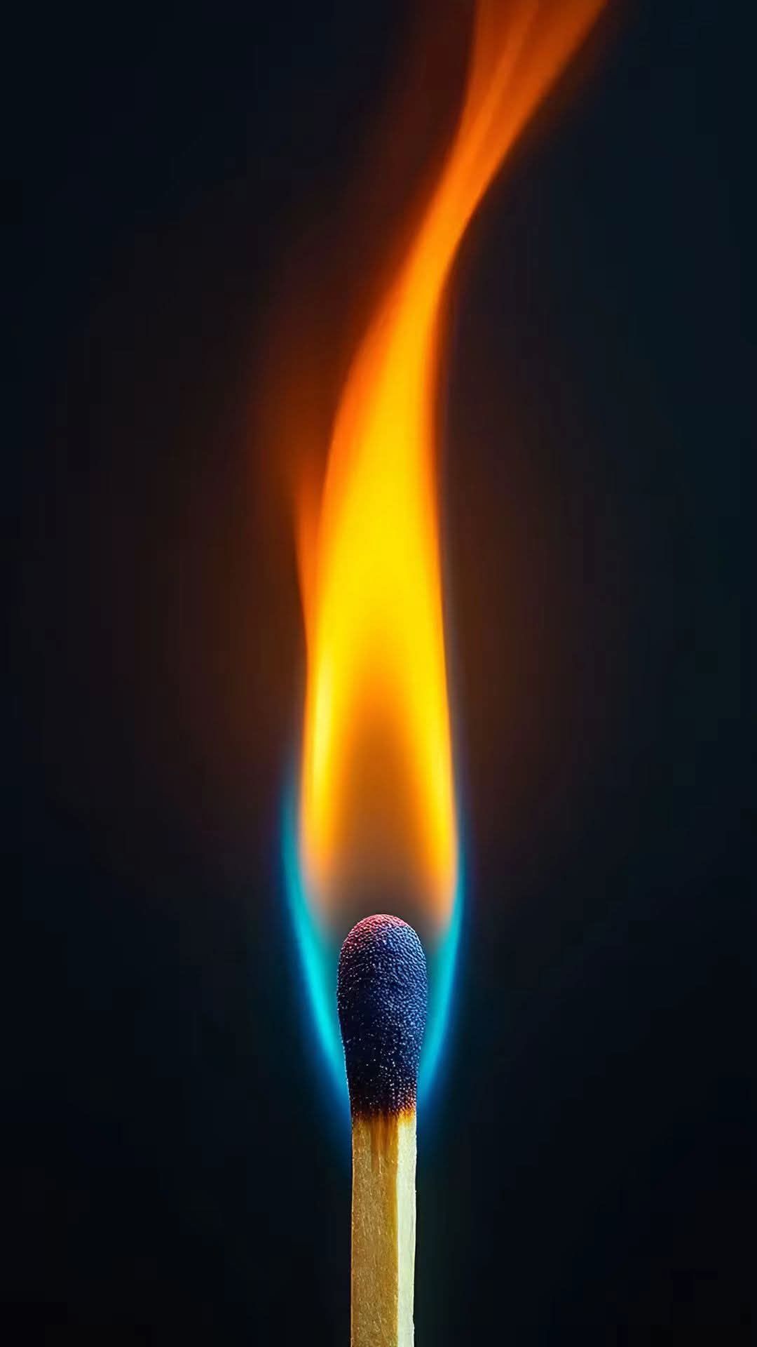 معلم لغه انجليزيه اونلاين وحضورى