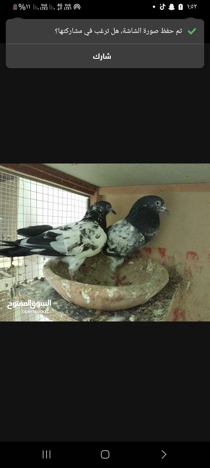 ل البيع الاساس عرض حمام