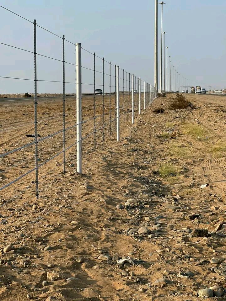 مقالات عامه شبوك بجميع انواعها ونخيل