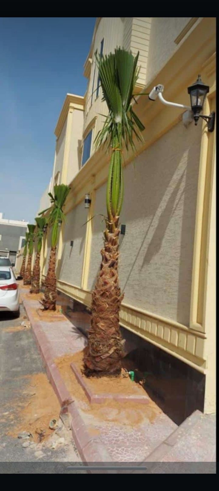 مقاول شبوك وهناجر ومظلات ونخيل واشجار