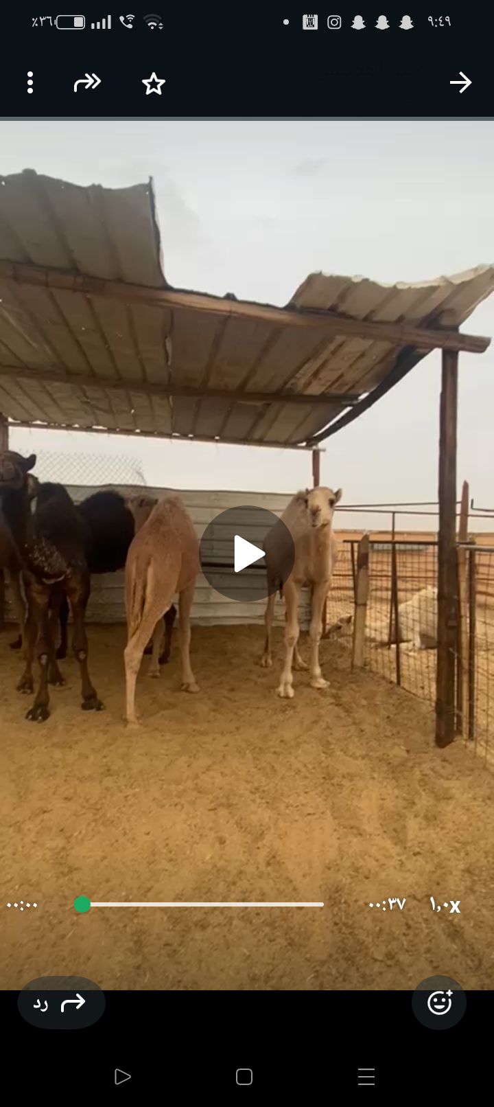 الخرج طريق القاعدة