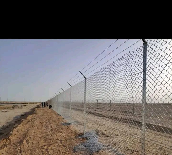 مقالات عامه شبوك بجميع انواعها ونخيل