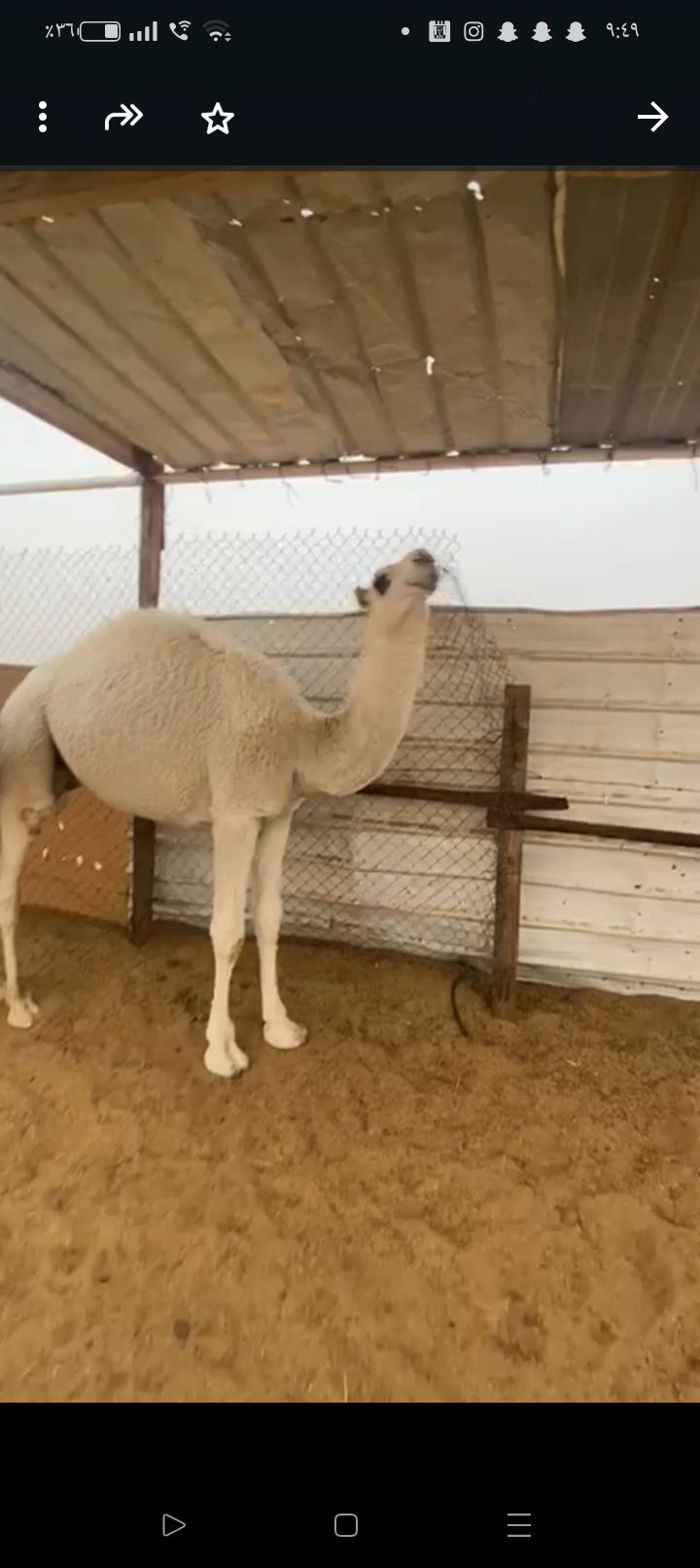 الخرج طريق القاعدة