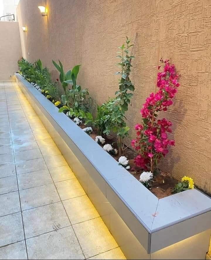 تنسيق حدائق منزلية وتركيب جميع العشب الصناعي والطب