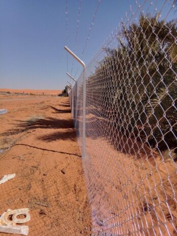 الرياض