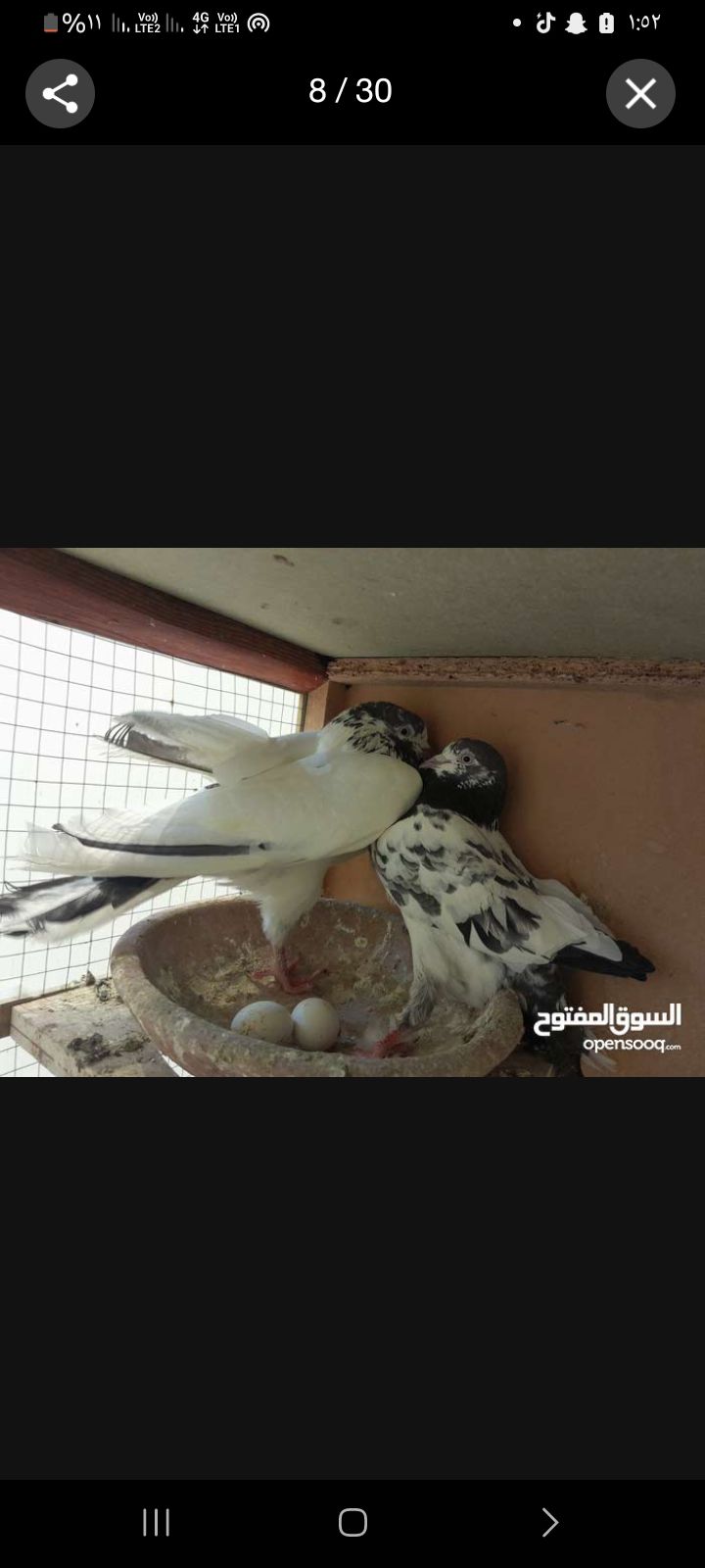 ل البيع الاساس عرض