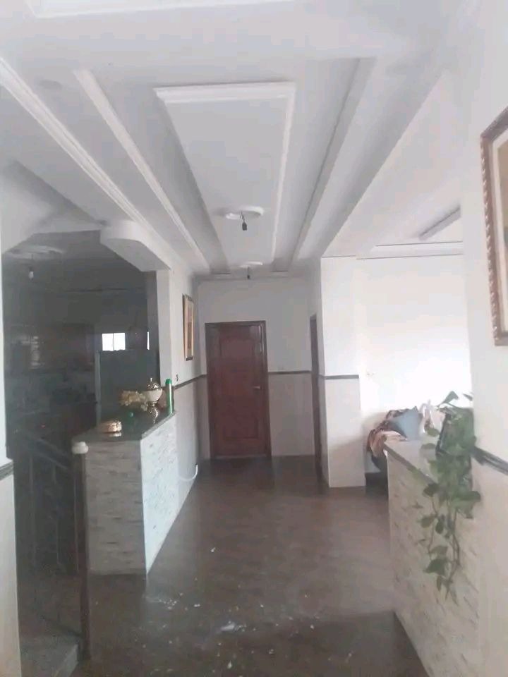 صباغ الاحساء لدهانات والديكورات0537806400