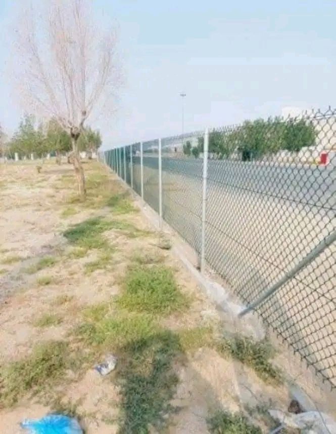 مقالات عامه شبوك بجميع انواعها ونخيل