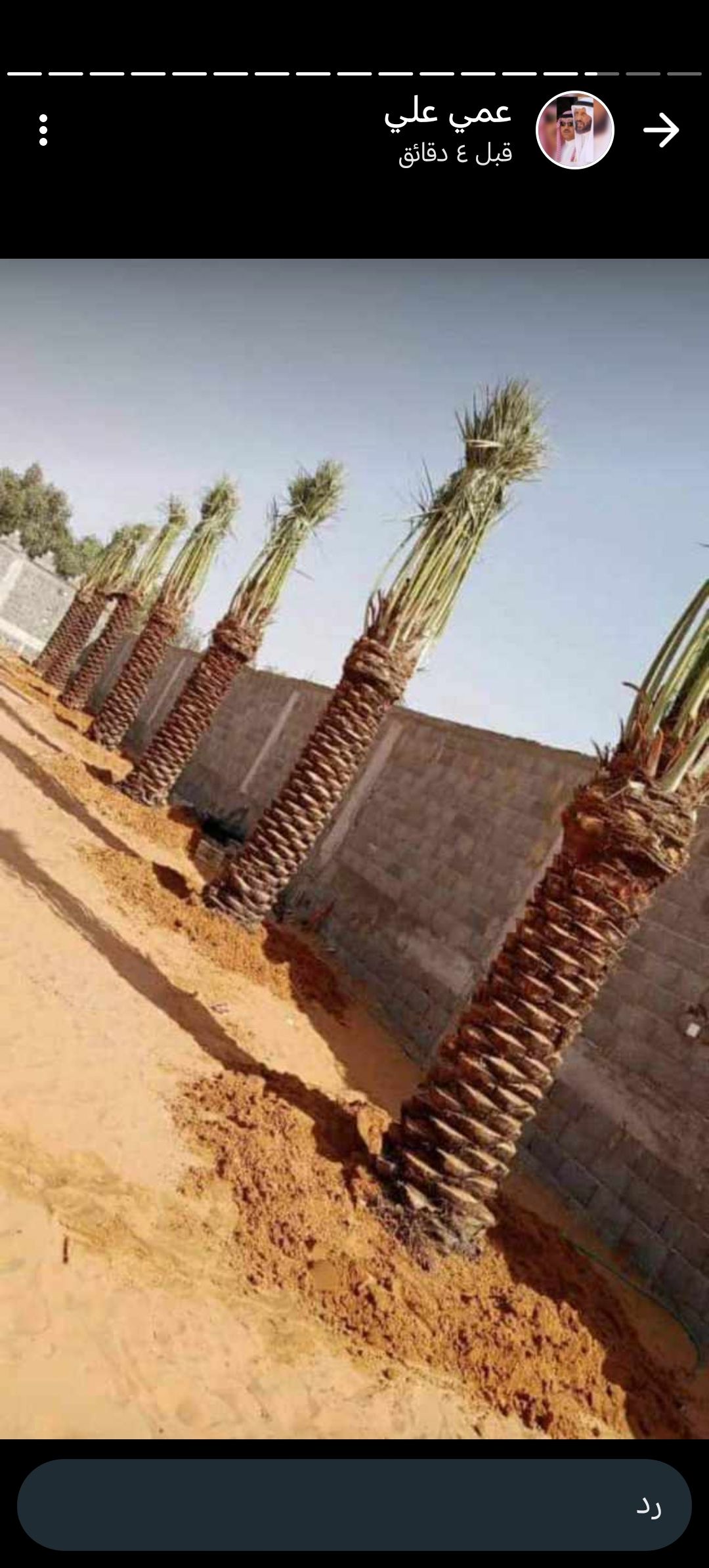 المملكة العربية السعودية