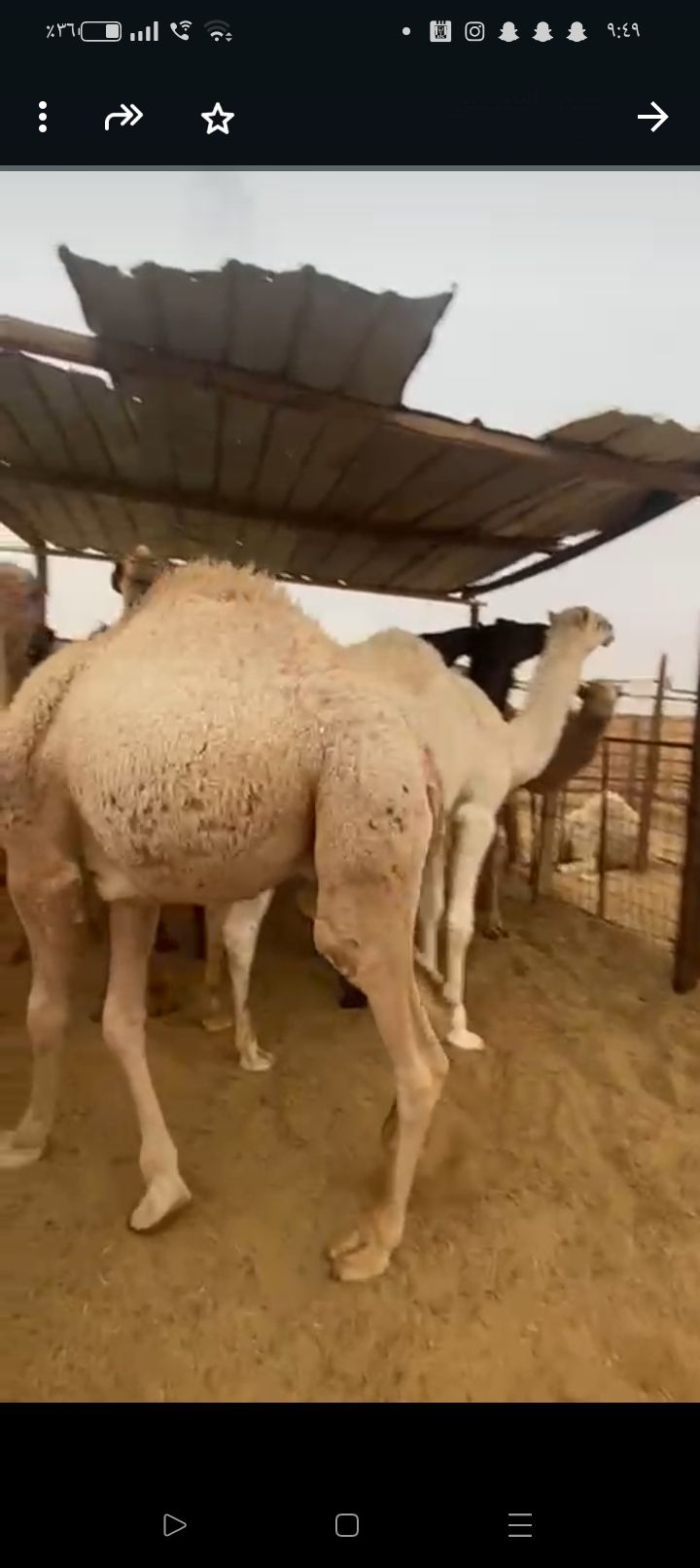 الخرج طريق القاعدة