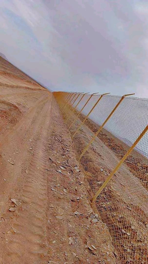 مقالات عامه شبوك بجميع انواعها ونخيل