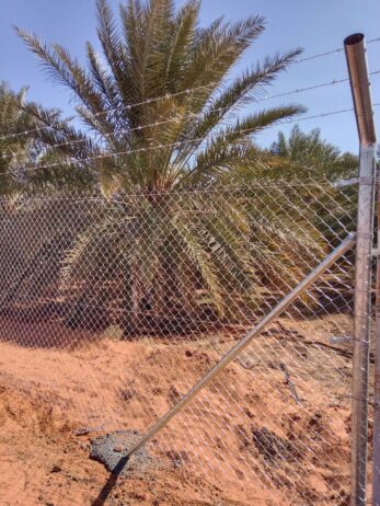 الرياض