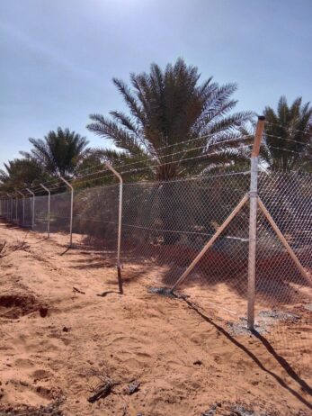 الرياض